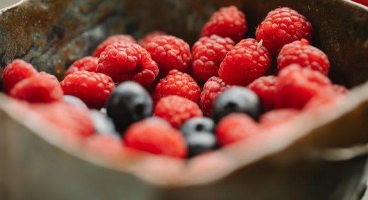探索 On Protein 香港：你的蛋白質小幫手