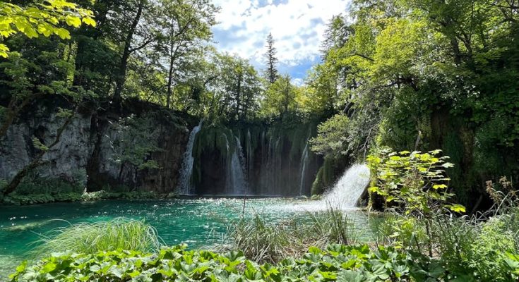 香港裝修：理性剖析與專業教學指南