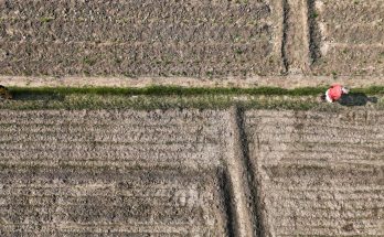 探索食品廠的奇妙旅程：從原料到美味的背後故事