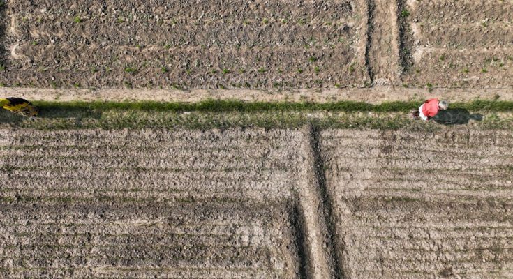 探索食品廠的奇妙旅程:從原料到美味的背後故事