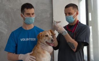 深入解析 Sculptra 童顏針：科學原理與應用指引