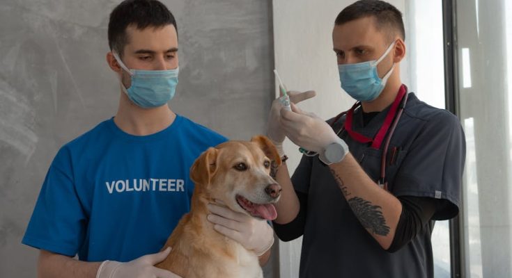 深入解析 Sculptra 童顏針：科學原理與應用指引